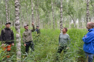 Neljä hyväntuulista miestä seisoo visakoivikossa korkean kasvillisuuden keskellä. etualalla näkyy muhkurainen visakoivun runko.